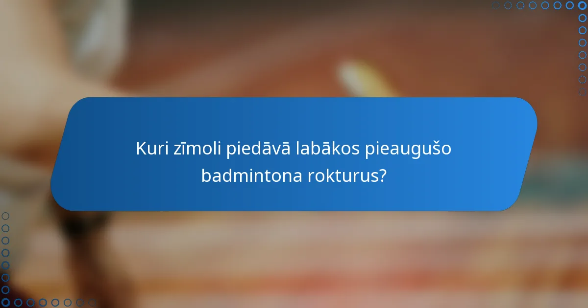 Kuri zīmoli piedāvā labākos pieaugušo badmintona rokturus?